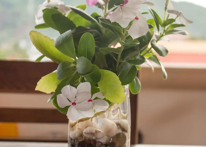Canto Del Mar - - Con Cocina Hotel 3*